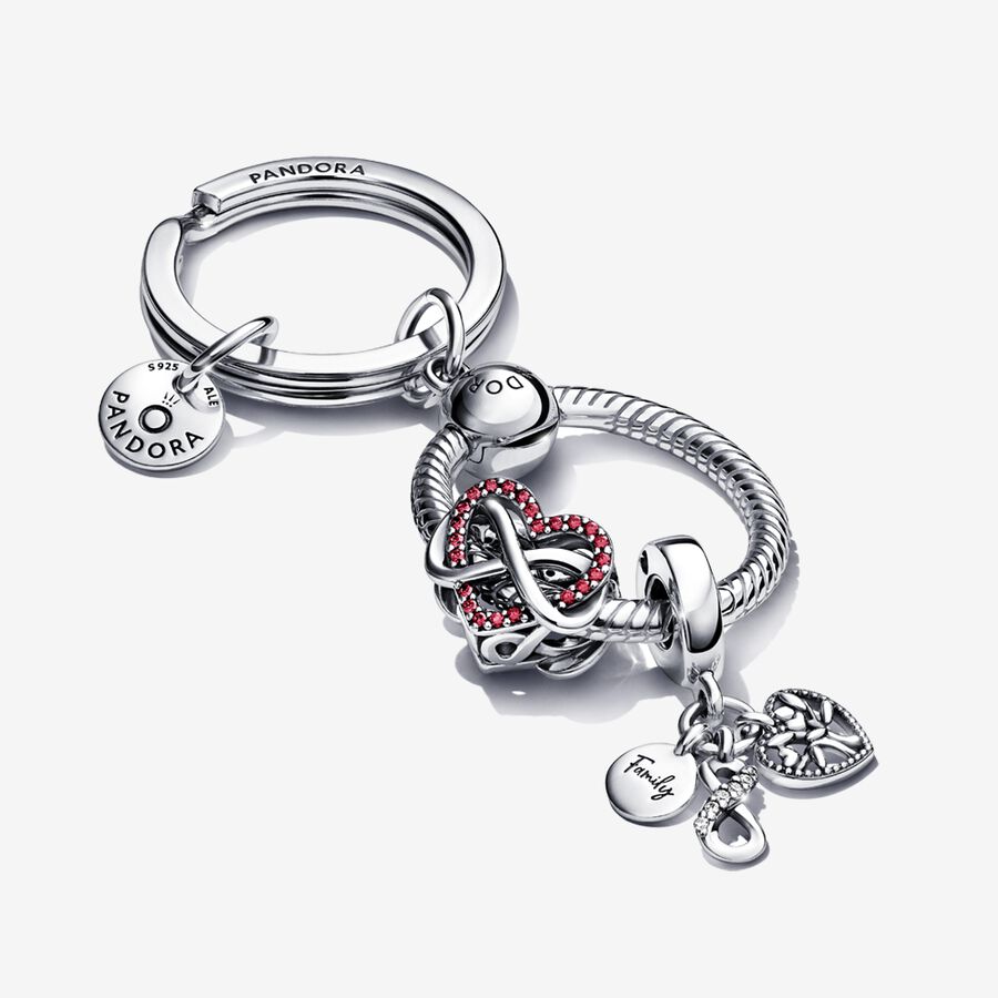 Charm Holders Pandora Family & Friends Infinity Keychain Viacfarebný | SK870TDMI