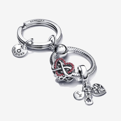 Charm Holders Pandora Family & Friends Infinity Keychain Viacfarebný | SK064LQCA